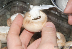 putting-sour-cream-inside-mushroom