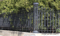 combination-of-black-metal-fence-with-hedge