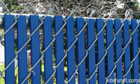 chain-link-fence-blue-privacy-slats