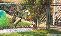 chain-link-fence-decorated