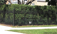 combination-metal-fence-hedge