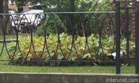 decorative-metal-fence