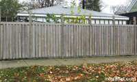 old-wood-privacy-fence