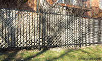 steel-fence-with-wood-lattice-panels