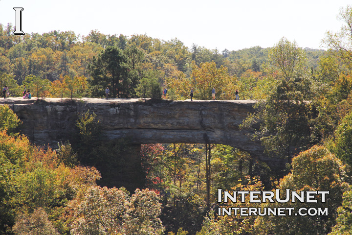 Natural-Bridge-in-Kentucky 