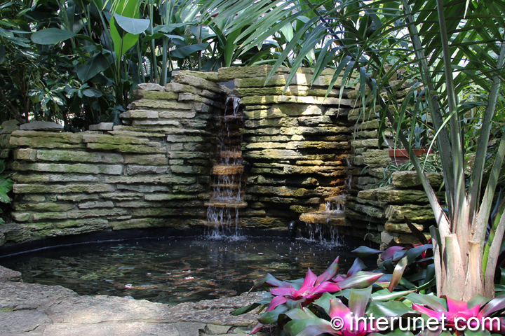 Waterfall-in-Garfield-Park-Conservatory