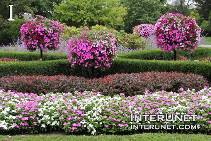 beautiful-flower-bed