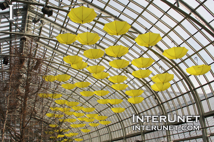 dozens-yellow-umbrellas-hanging-on-the-roof 