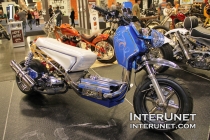 custom-2017-Icebear-Mad-Dog-Bike