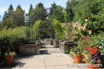 Morton Arboretum