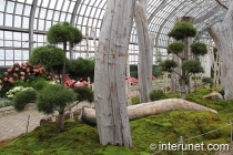 amazing-plants-in-Garfield-Park-Conservatory