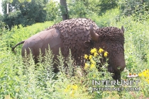 bison-sculpture