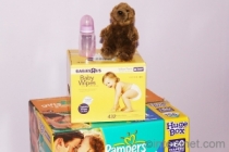 diapers-wipes-baby-bottle-toy