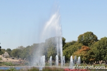 fountain-in-Brookfield-Zoo