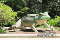 Frog sculpture in front of Shedd Aquarium in Chicago