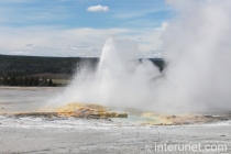 geysers-in-yellowstone-national-park