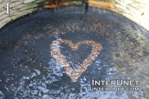 heart-from-coins-in-the-fountain
