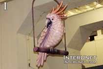  parrot sculpture