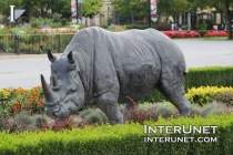 rhinoceros-sculpture