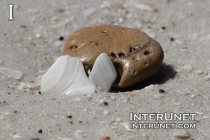 stones-on-the-beach