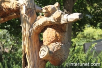 wood-curved-bear-on-the-tree