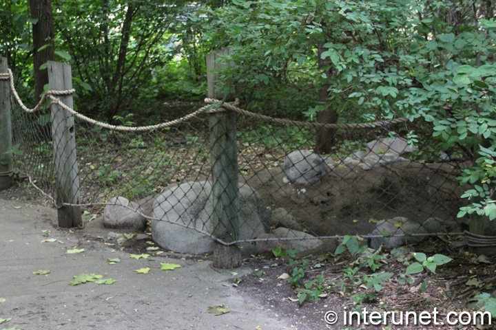animals-barrier-fence