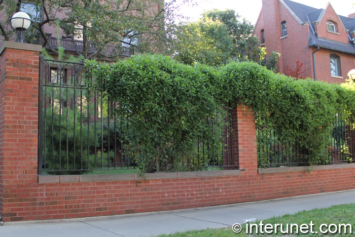 brick fence with green plants on steel sections