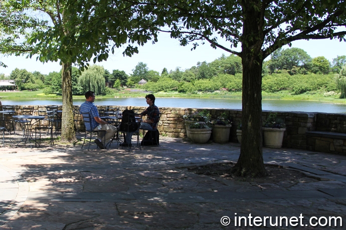 having-lunch-outside