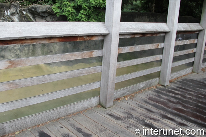 horizontal-boards-wood-fence-on-bridge