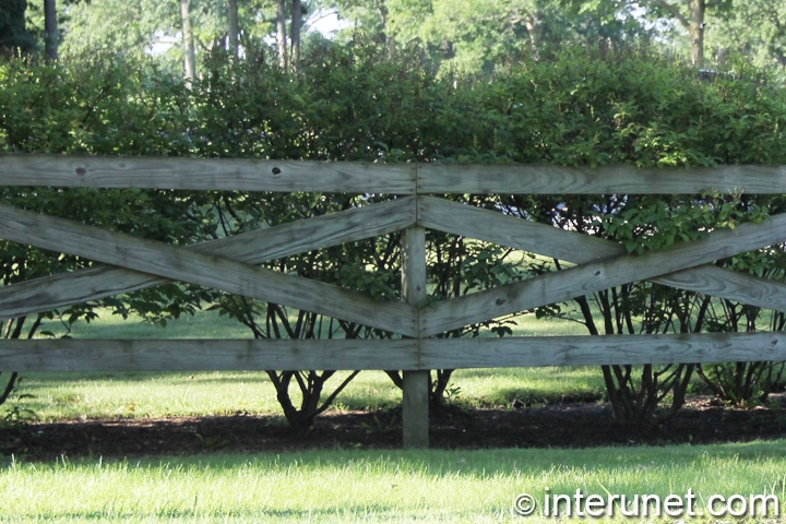 lumber-fence-in-combination-with-hedge