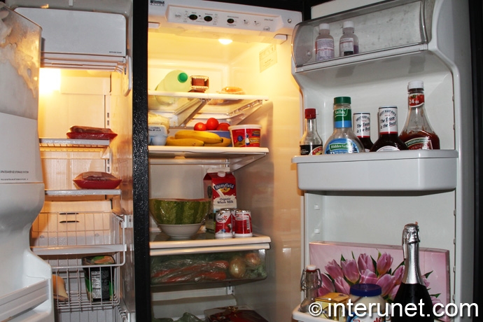 refrigerator-full-of-food