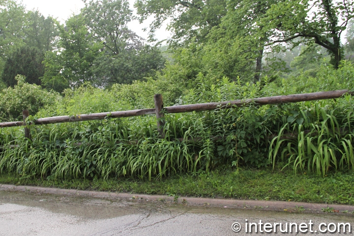 split-rail-fence