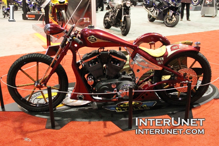 freestyle-custom-built-motorcycle-sidecar