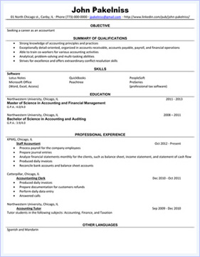 professional-resume-example