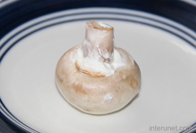 raw-mushroom-with-sour-cream-on-plate