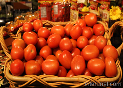 basket-of-fresh-tomatoes