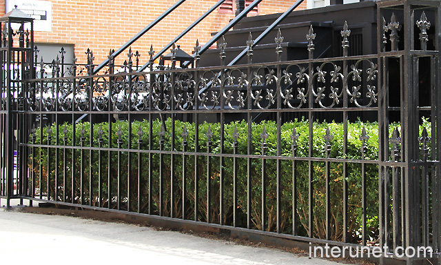 custom-designed-ornamental-steel-fence-with-hedge