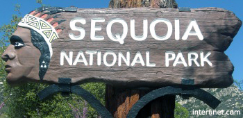 sequoia-national-park